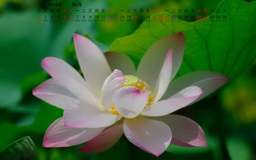 491871 (a): :1680x1050